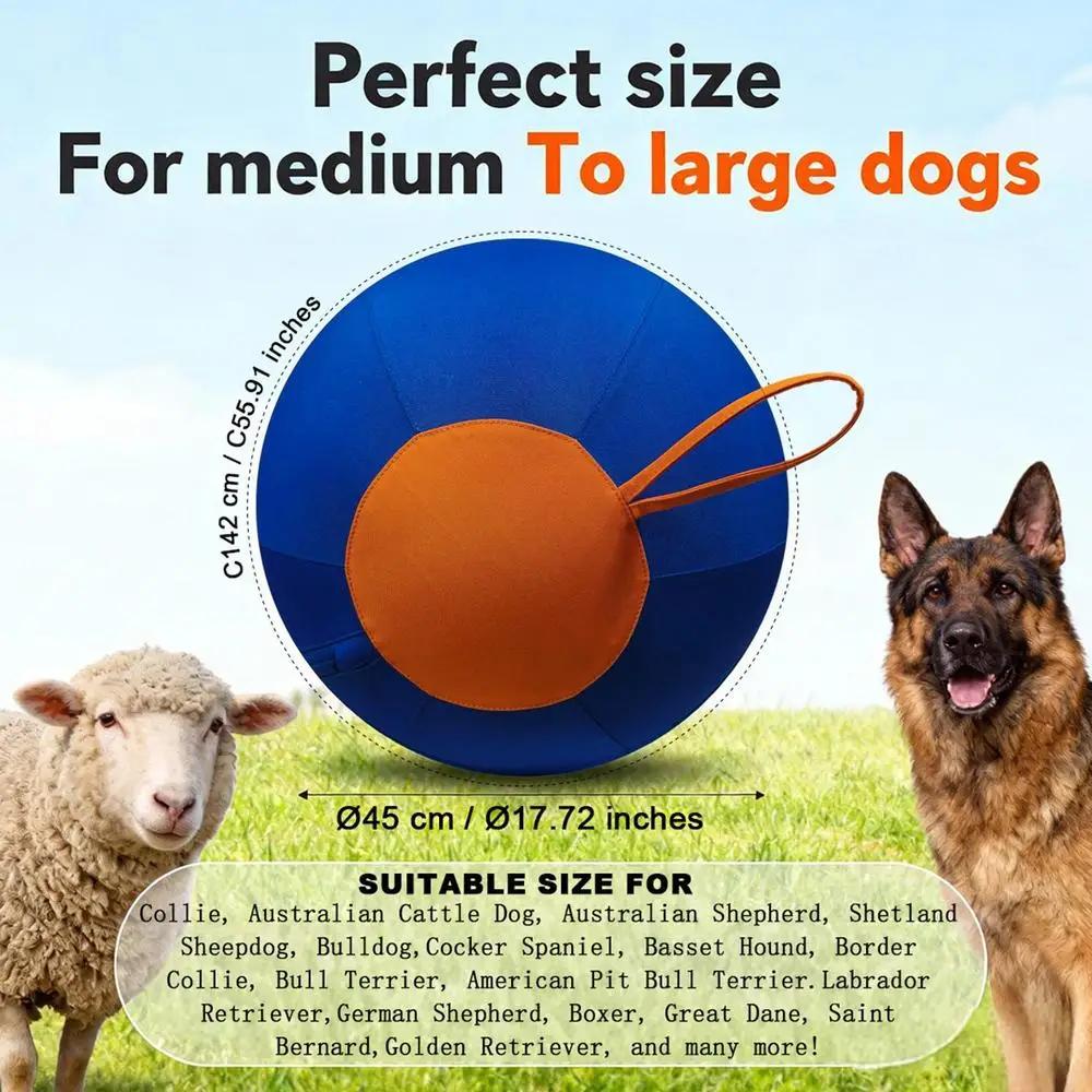 Balle interactive pour grands chiens, jouet de chasse à la balle, fournitures pour animaux de compag