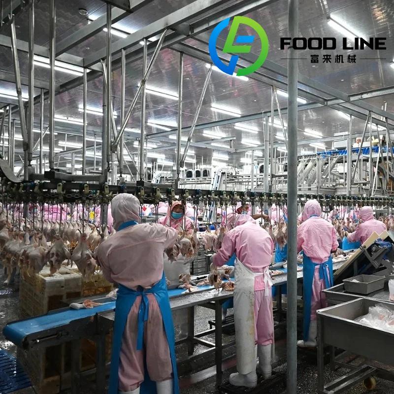 Équipement d'abattage de volaille de haute qualité 300-1000 ligne de production réglable pour poulet