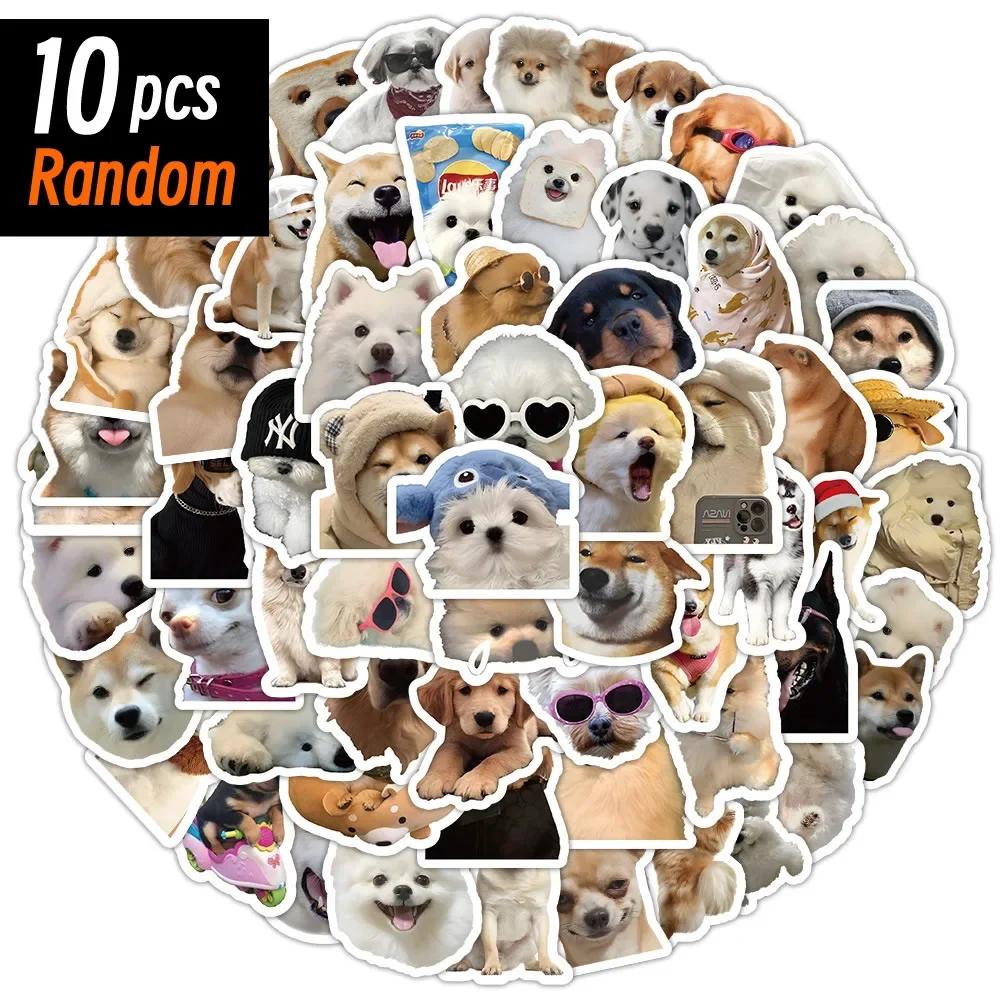 10/50/100 pièces drôle chien autocollants dessin animé mignon décalcomanies jouet papeterie guitare 