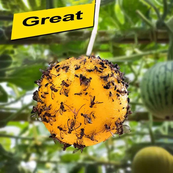 Piège à mouches à fruits en forme de boule, 8 cm, piège collant pour guêpes, abeilles, insectes, pièges volants en forme de boule pour l'intérieur, l'extérieur, la maison, la cuisine, les plantes
