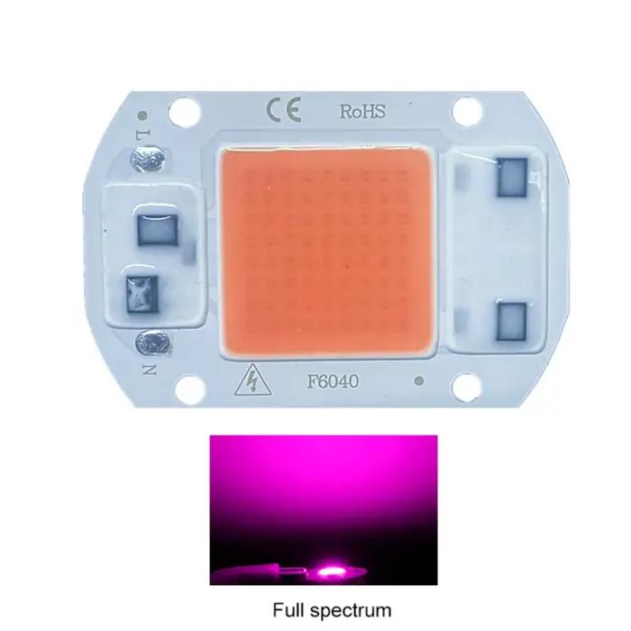 Puce LED COB de Croissance