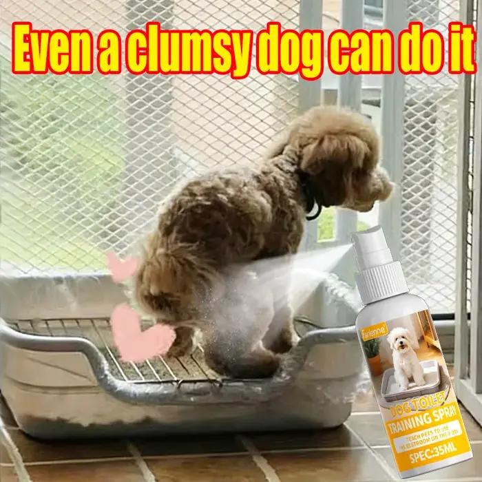 Spray d'apprentissage de la propreté pour chiens