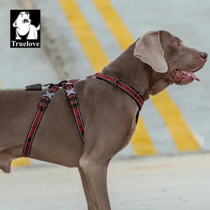 Harnais Truelove pour Chiens en Nylon avec Boucle Submersible, Disponible en 7 Couleurs pour Tous les Chiens et Toutes les Saisons