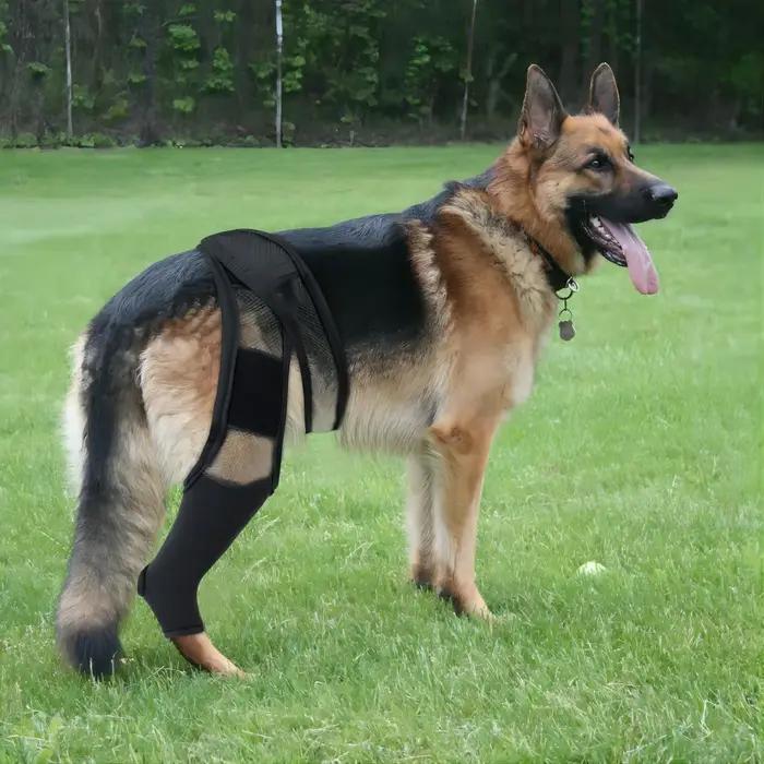 Attelle de soutien pour pattes de chien blessées