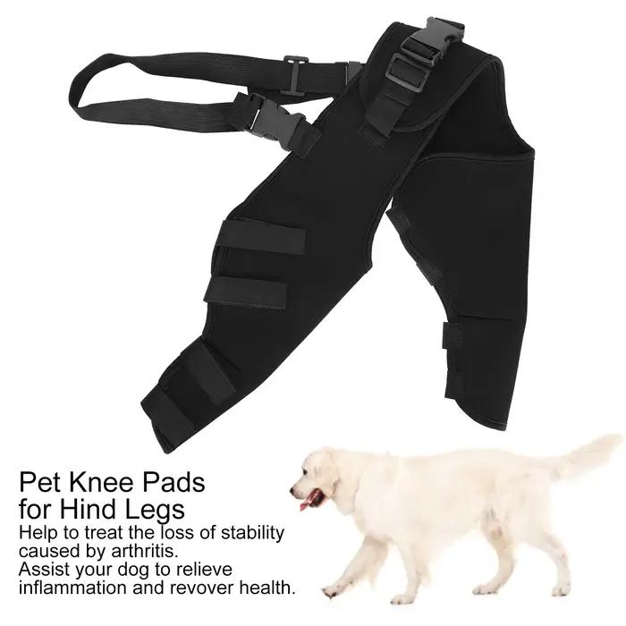 Protecteur de jambes arrière pour chien