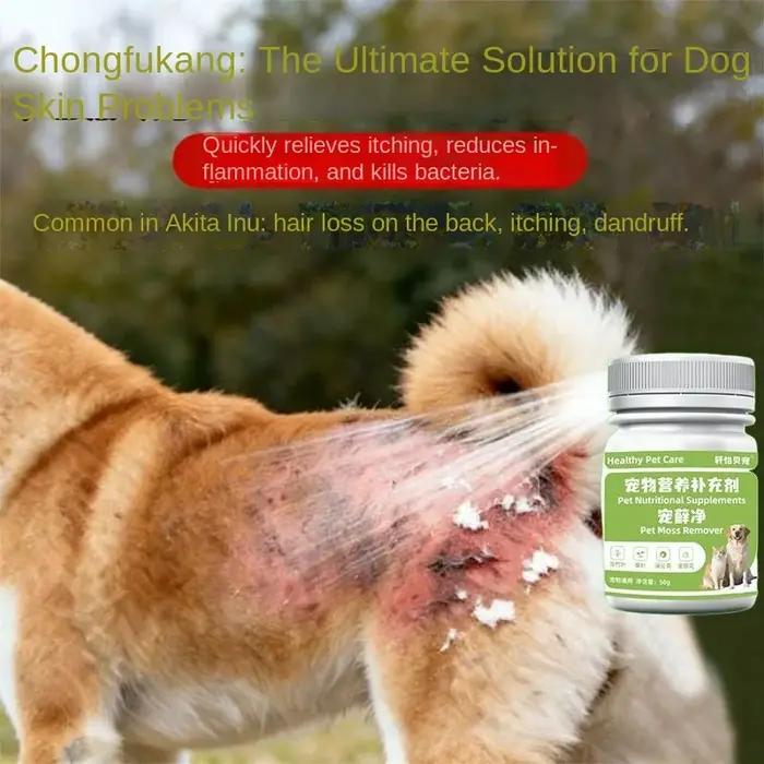 Démangeaisons cutanées chez le chien, champignons et bactéries chez le chien, teigne cutanée, teigne corporelle, teigne des poils, ulcérations
