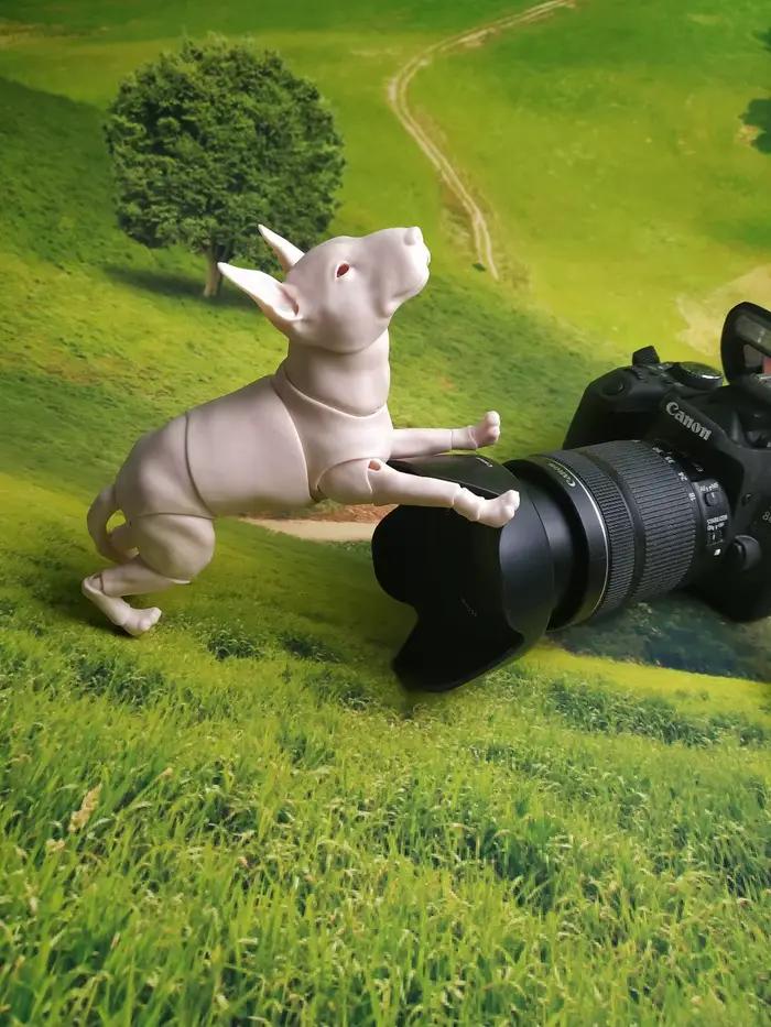 Bull chien chiot 1/6 points bjd poupée