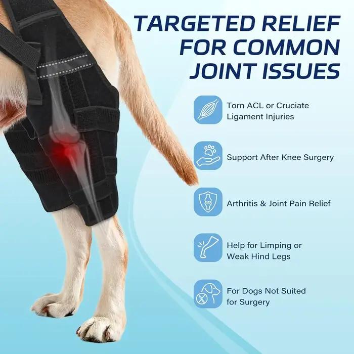 Attelle pour genou de chien pour l'entorse du ligament croisé antérieur (LCA) de la patte arrière