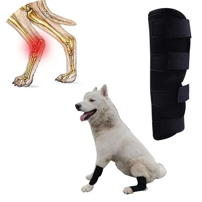 Genouillères de jambes pour chiens
