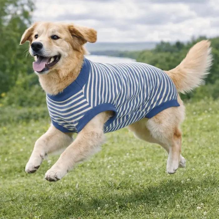 Combinaison de Stérilisation pour Chien à Rayures Style Décontracté Lavable Confortable Vêtements de Récupération
