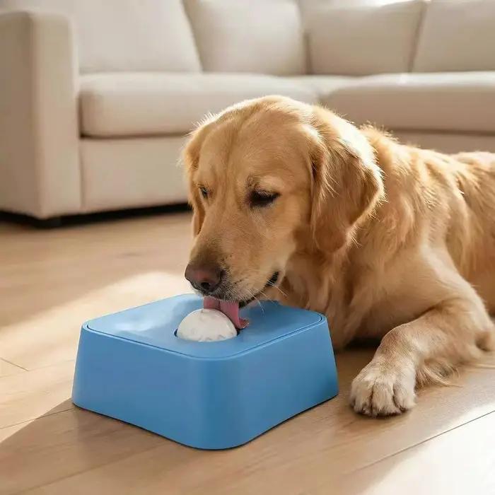 Bols amusants pour chat et chien