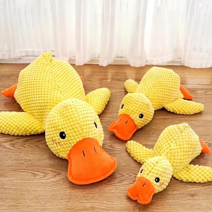 Canard apaisant pour chien