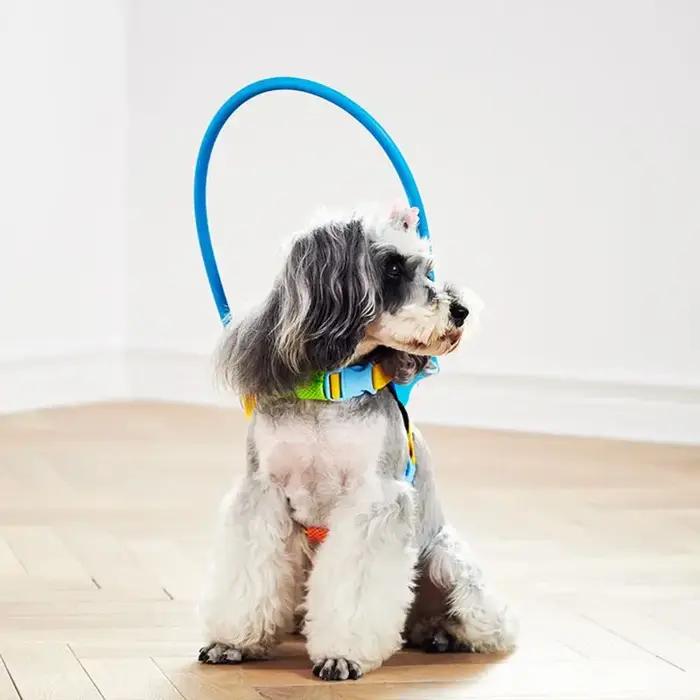 Harnais circulaire Anti-Collision réglable pour chien aveugle