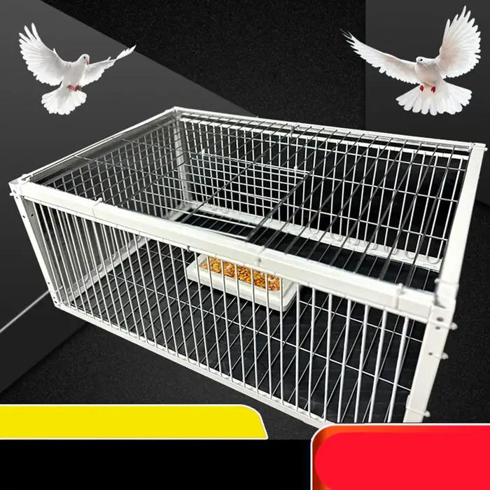 Pigeon Épais existent et Jetable, pour Course, Ferme, Garages, Fournitures HPBird