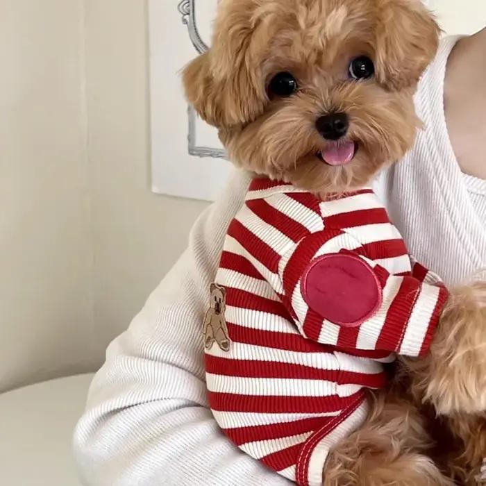 Chemise d'été pour animaux de compagnie