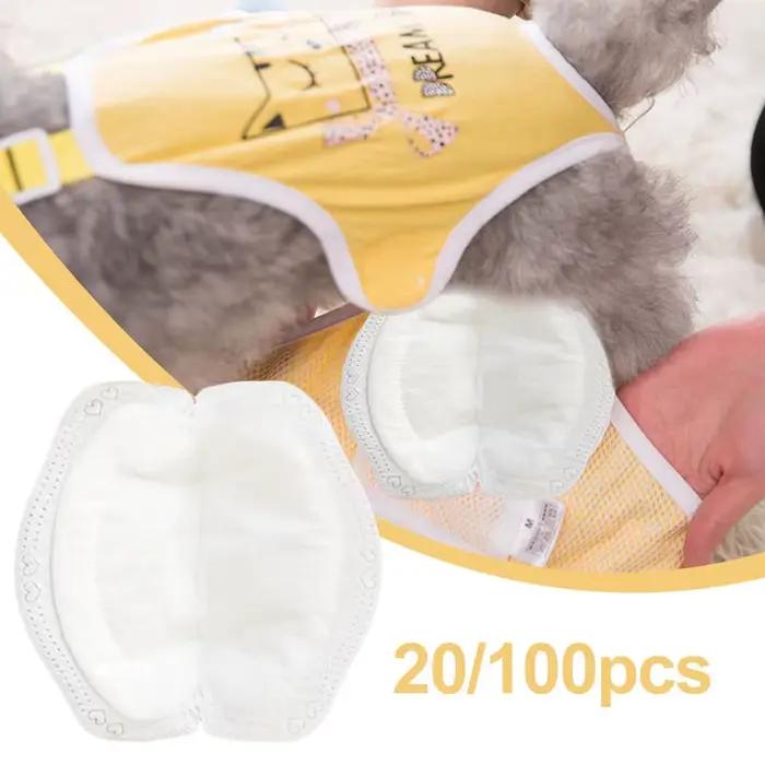 Culottes absorbantes jetables pour chien femelle – Protection hygiénique post-stérilisation