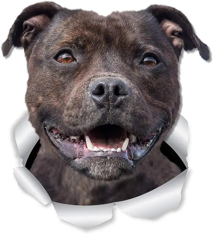 V134 # Autocollant de voiture Happy Staffie chien Staffordshire Terrier accessoires Pegatinas Para Coche bricolage style de voiture