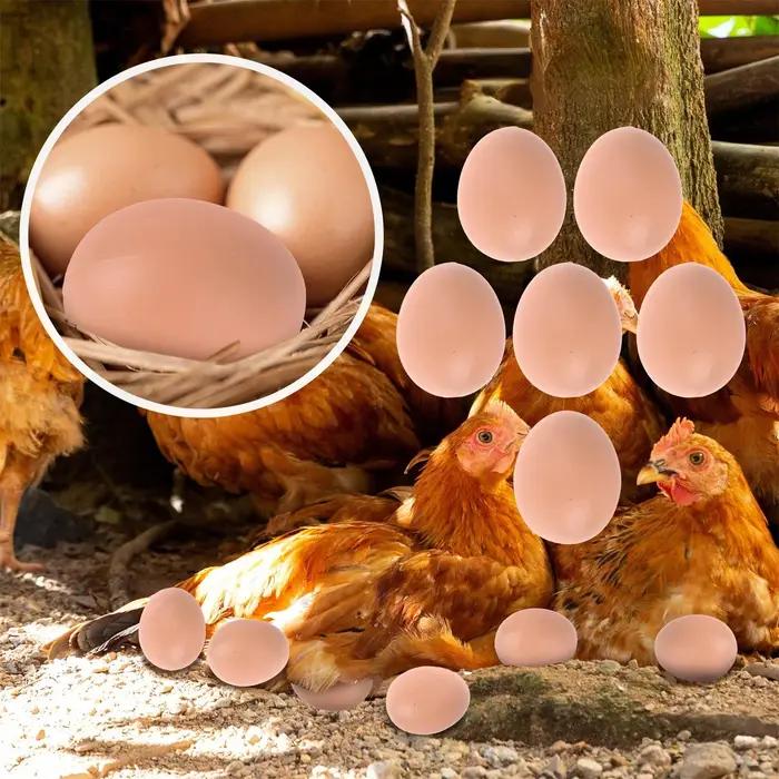 5/10 pièces oeuf à couver poule de pâques volaille trappe élevage Simulation faux oeufs artificiels en plastique