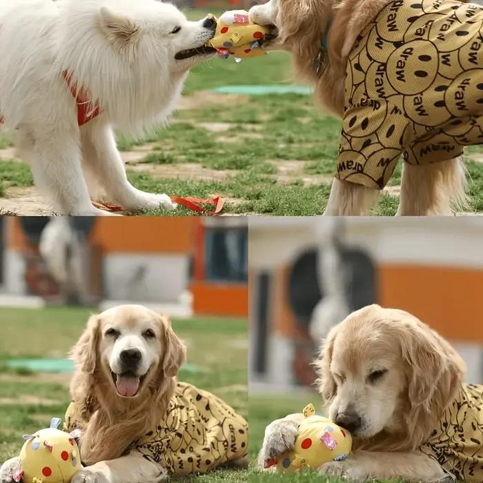 Balle Sonore en Polyester Imprimé Animal Pour Chiens de Toutes Tailles Jouets Interactifs Convient Aux Promenades Extérieures Occasions Spéciales