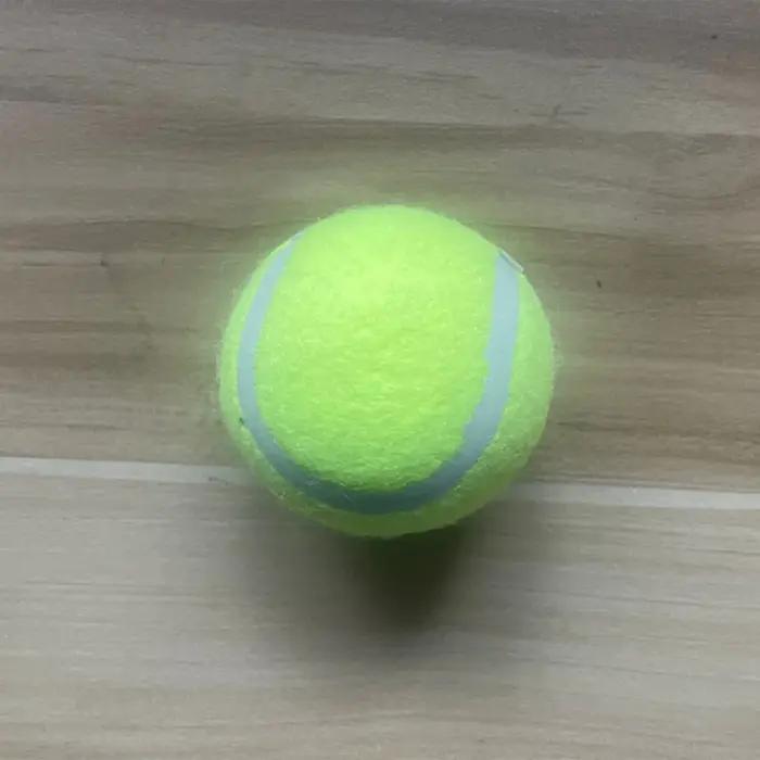 Ensemble de lanceurs de balles de Tennis pour animaux de compagnie, jouet d'entraînement en plein ai