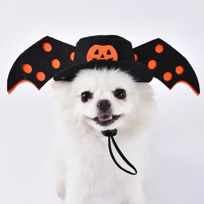 Tenue de Citrouille d'Halloween pour Chien ou Chat, 100% Coton, Design Amusant, Occasions Spéciales, Fêtes Familiales
