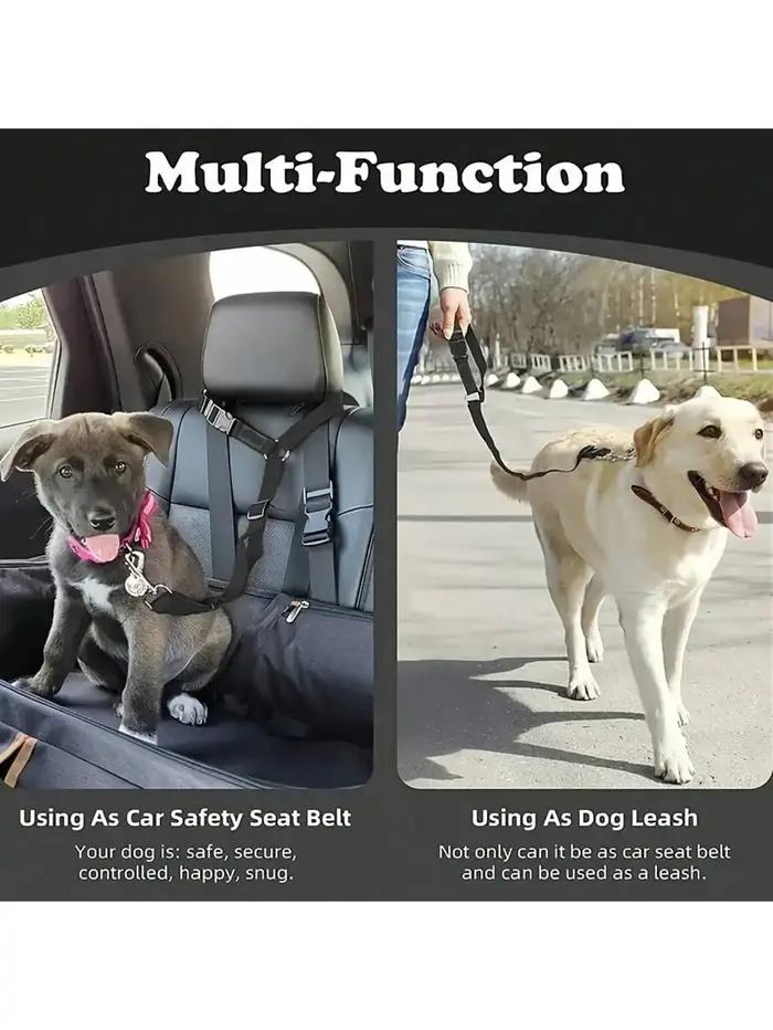 Ceinture de sécurité pour chien pour véhicule