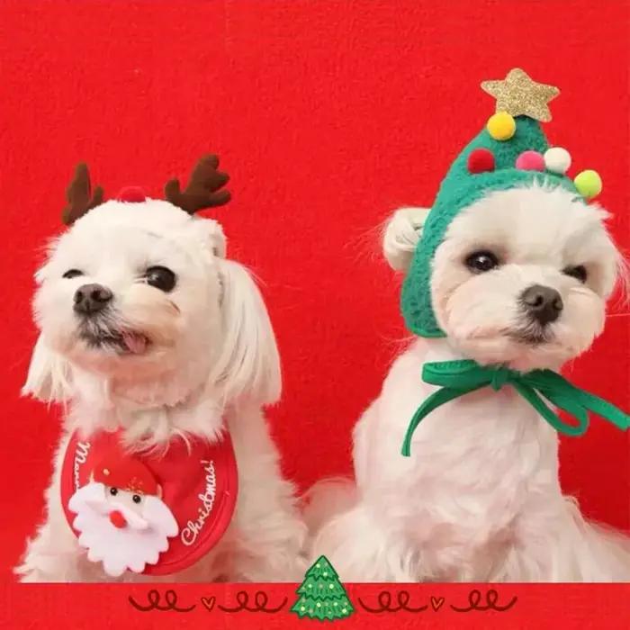Costume de Noël pour chat chapeau de Père Noël élan avec bandana ensemble écharpe accessoires pour chat fournitures de déguisement de vacances pour animaux de compagnie