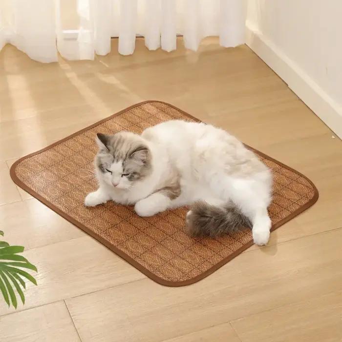Tapis rafraîchissant pour chien