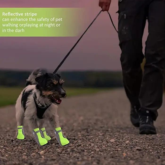 Chaussures pour animaux de compagnie