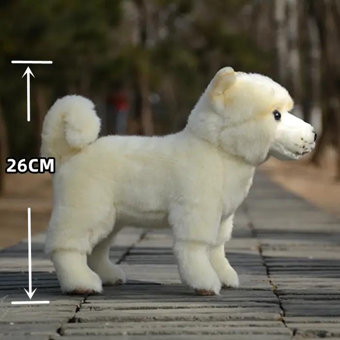 Peluche japonaise Akita, chien, dessin animé, haute fidélité, mignon, Shiba Inu, animaux réalistes,
