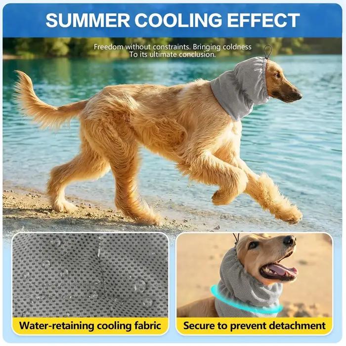 Bandeau Rafraîchissant pour Chien – Réglable