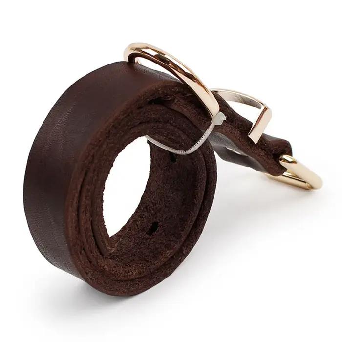 Collier de chien en cuir marron Style classique