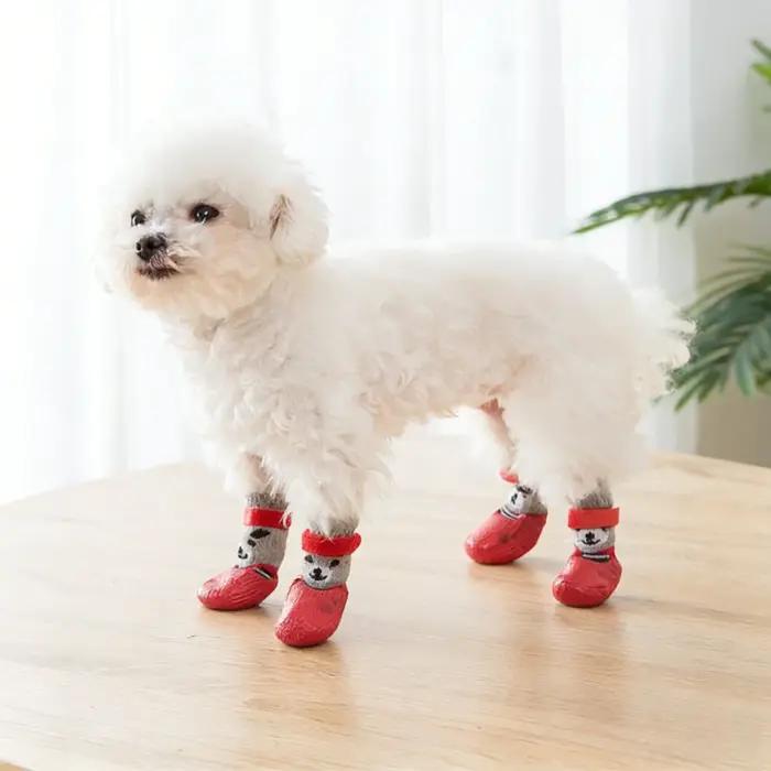 Chaussures de protection pour pattes de chien