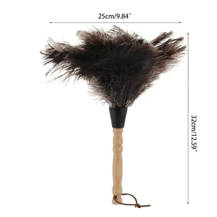 Plumeau en plumes d'autruche naturelles avec manche en bois, brosse à poussière écologique, fournitu