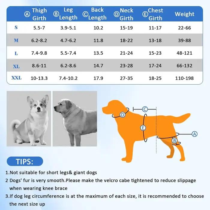 Attelles de genou pour chien pour pattes arrière
