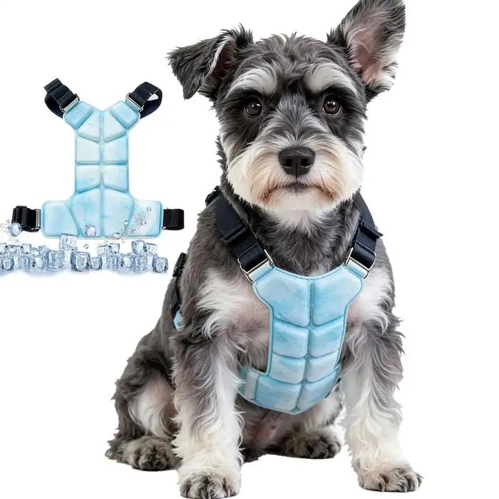 Gilet rafraîchissant pour chien