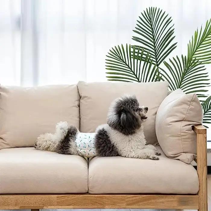 Couches jetables souples et portables pour chiens