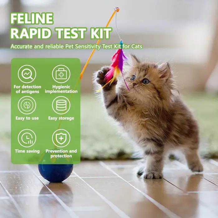 Kit de test de précision pour chat félin