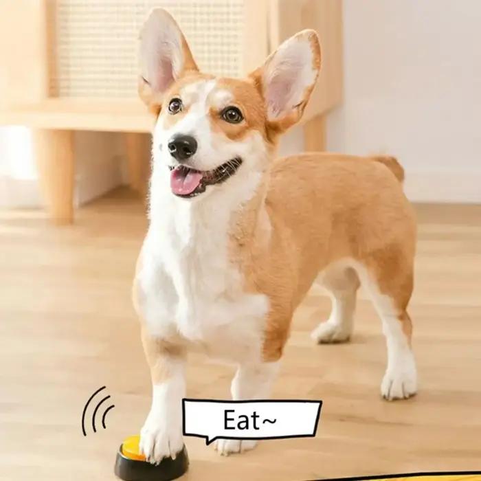 Boutons de Communication pour chien
