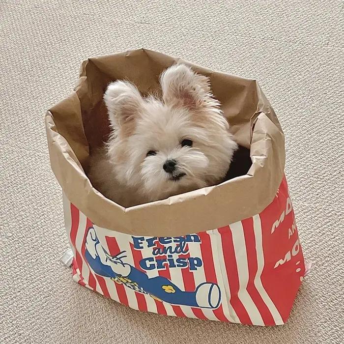 Puzzle décompression sonore en papier de litière de chat pour chiens jouets interactifs pour réduire le stress et stimuler la curiosité