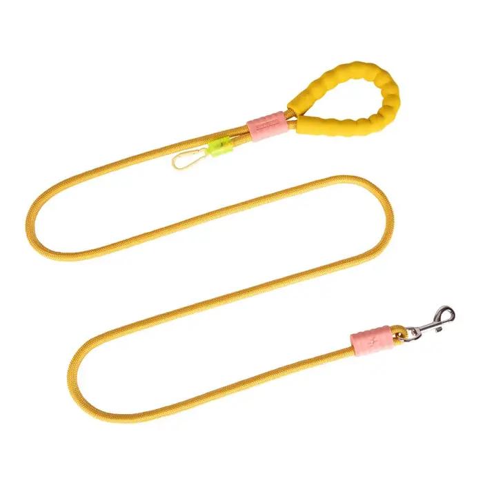 Laisse pour chiot en nylon doublée de mousse et de coton avec poignée confortable pour promenades en sécurité et style unique pour chiots et déplacements rapides