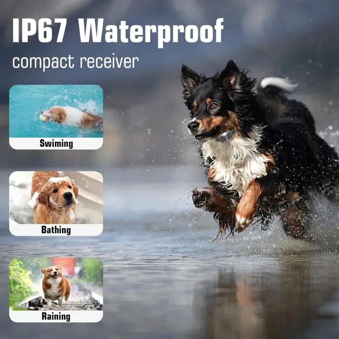 Collier d'entraînement rechargeable et étanche pour chiens et chats de petites, moyennes et grandes tailles pour randonnées et voyages