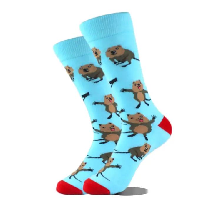 Chaussettes design avocat créatives hommes motifs yeux guitare bus animaux drôles
