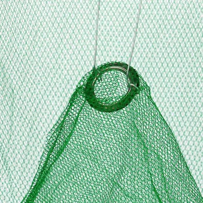 Confrontal Flies-Pièges à insectes pliants réutilisables