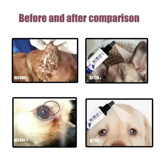 Gouttes anti-puces pour animaux de compagnie