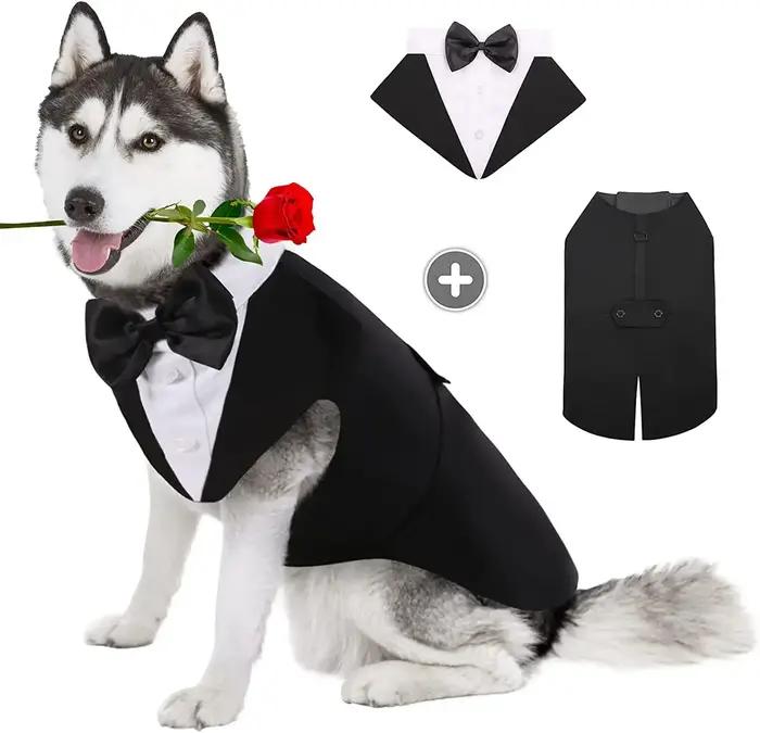 Vêtements pour chiens de compagnie