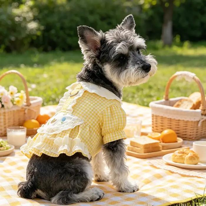 Robe pour animaux de compagnie à volants en gingham jaune pour petits chiens et chats