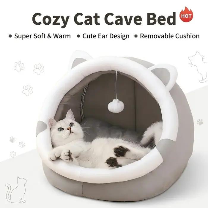 Nouvelle maison pour chat