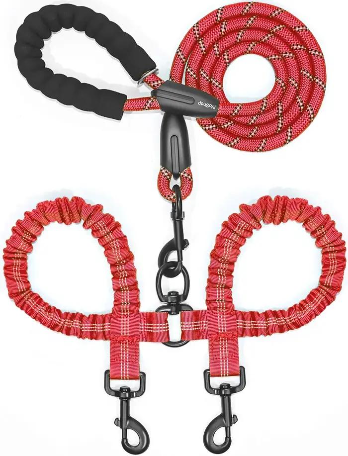 Laisse double pour chien