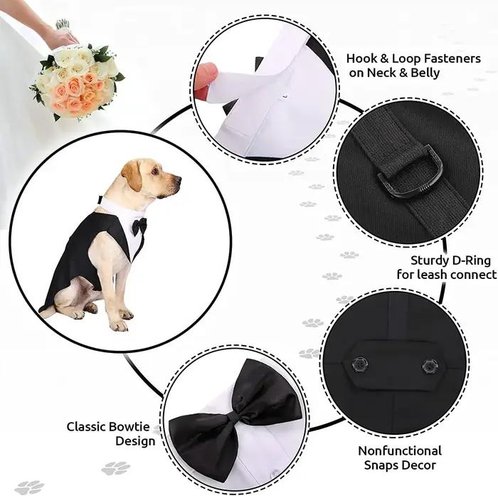 Vêtements pour chiens de compagnie
